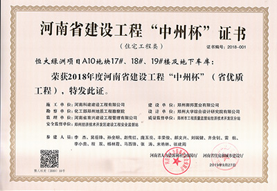 恒大綠洲項目A10地塊17#、18#、19#樓及地下車庫榮獲“2018年度河南省建設(shè)工程中州杯（省優(yōu)質(zhì)工程）”